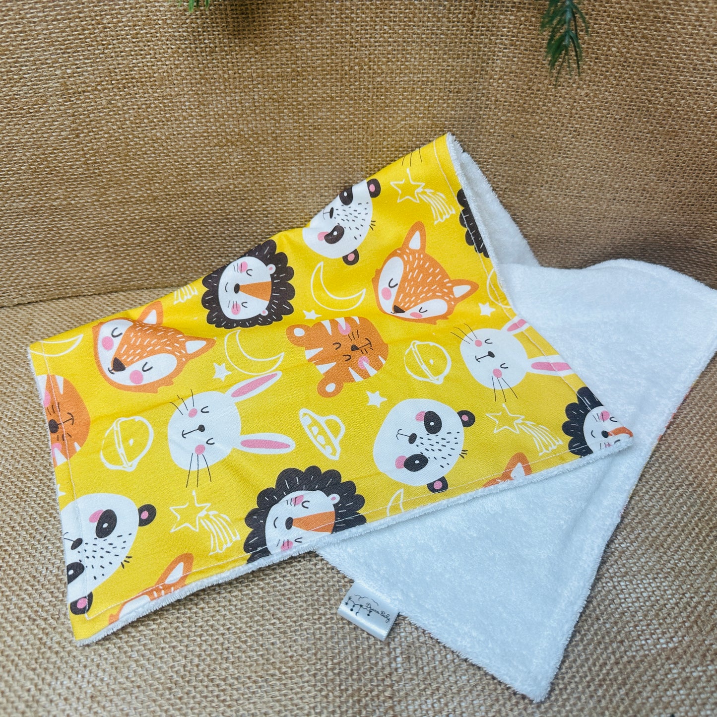 Little Explorer Bib and Burpe Set